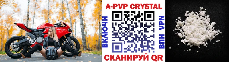 Alfa_PVP СК Светлоград