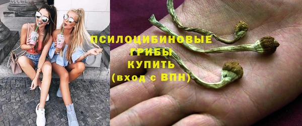 дмт Алексеевка