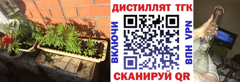 Дистиллят ТГК вейп с тгк  купить закладку  Светлоград 